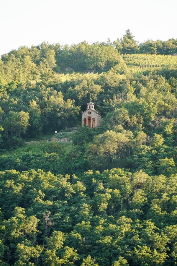 Wine Passion Panoramic Hotel Chavanay Exterior photo