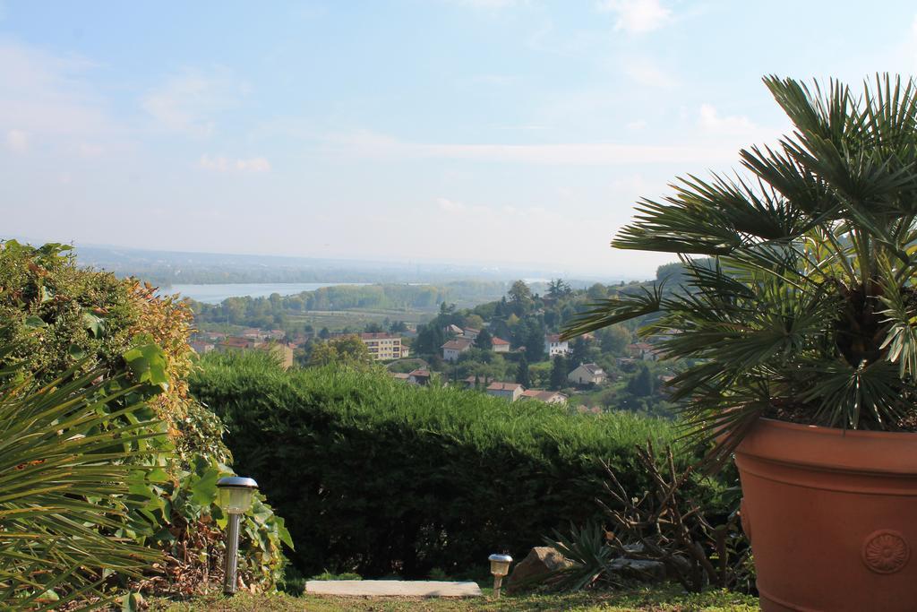 Wine Passion Panoramic Hotel Chavanay Exterior photo